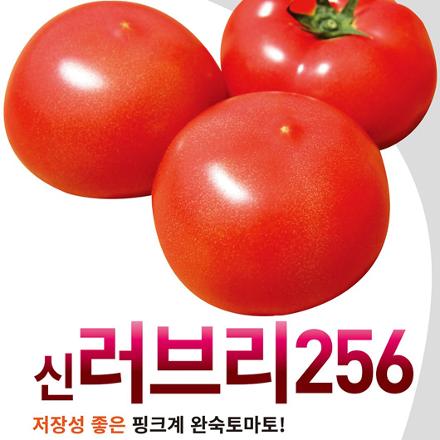 신러브리256 토마토 씨앗